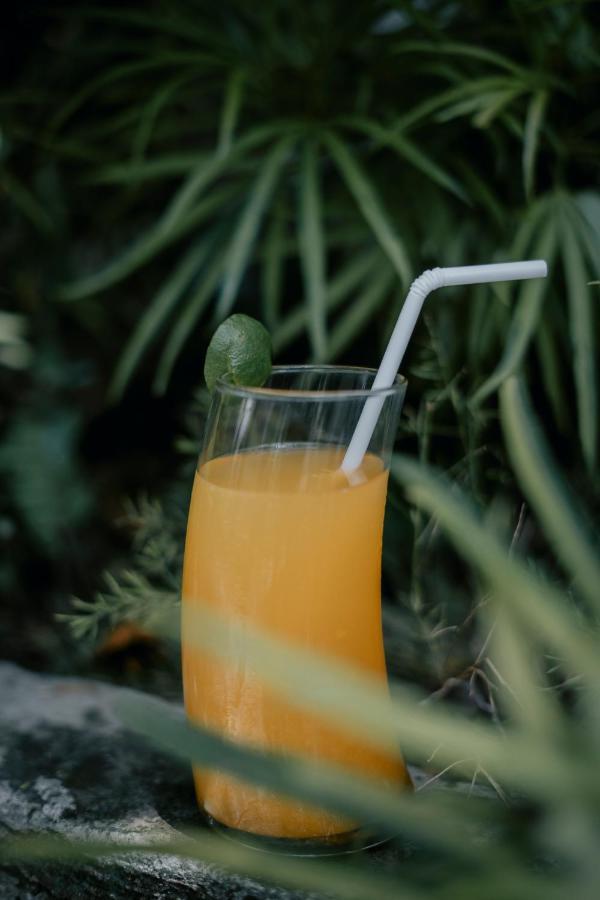 Alam Bidadari विला Seminyak (Bali)